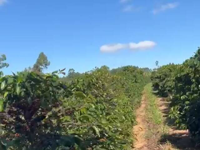#415 - Chácara para Venda em Siqueira Campos - PR - 3