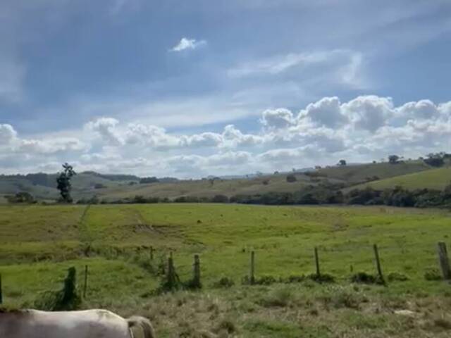 #417 - Fazenda para Venda em Ribeirão Claro - PR