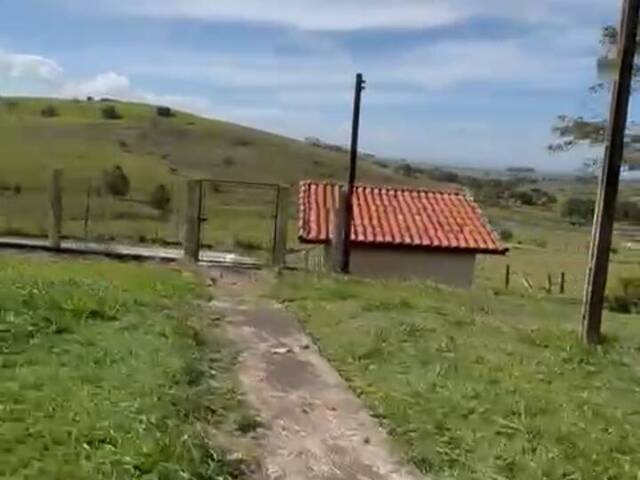 #417 - Fazenda para Venda em Ribeirão Claro - PR
