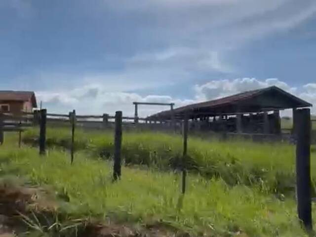 #417 - Fazenda para Venda em Ribeirão Claro - PR