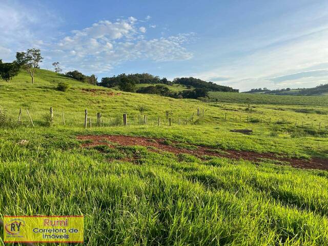 #420 - Fazenda para Venda em Salto do Itararé - PR - 2