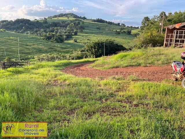 #420 - Fazenda para Venda em Salto do Itararé - PR - 3
