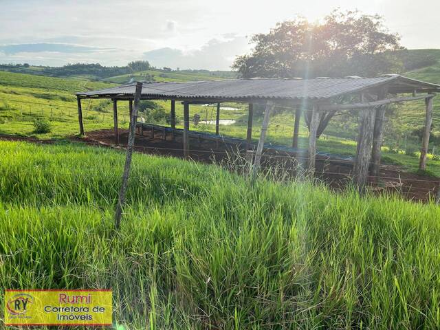 Fazenda para Venda em Salto do Itararé - 4