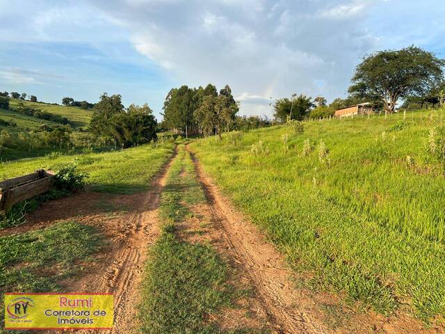 Fazenda para Venda em Salto do Itararé - 5