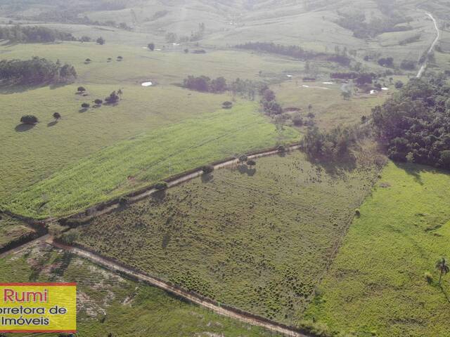 #422 - Chácara para Venda em Carlópolis - PR - 2