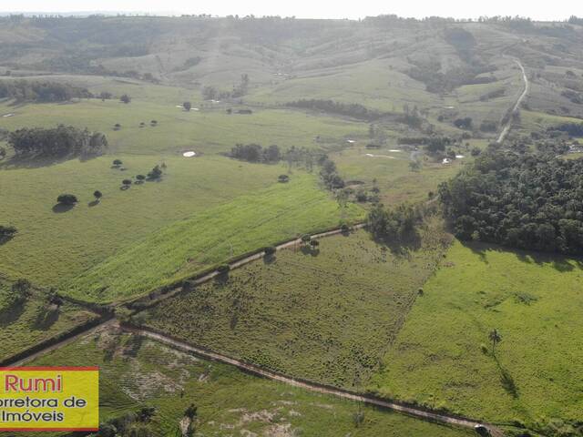 #422 - Chácara para Venda em Carlópolis - PR - 3