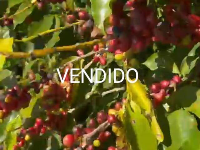 #415 - Chácara para Venda em Siqueira Campos - PR - 1