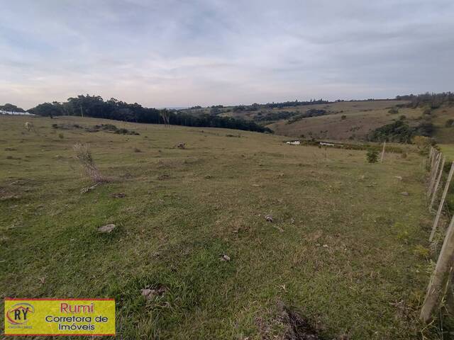 #424 - Sítio para Venda em Carlópolis - PR - 1