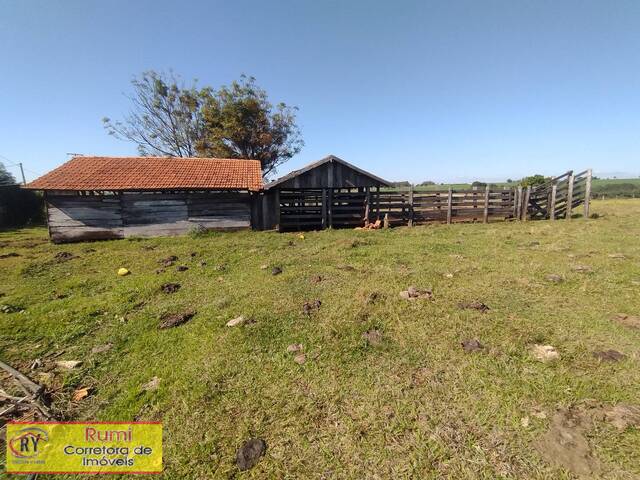 #424 - Sítio para Venda em Carlópolis - PR - 2