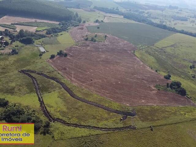 #427 - Chácara para Venda em Carlópolis - PR - 1