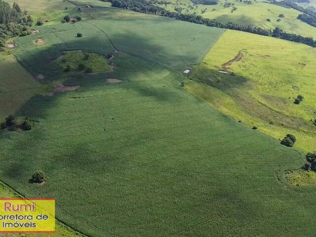 #427 - Chácara para Venda em Carlópolis - PR - 3