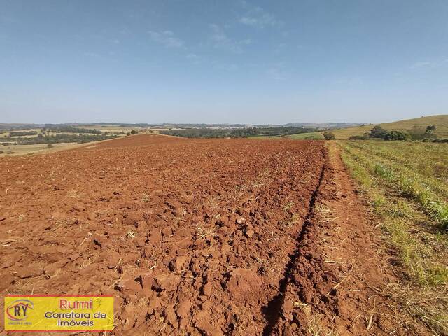 #427 - Sítio para Venda em Carlópolis - PR - 2