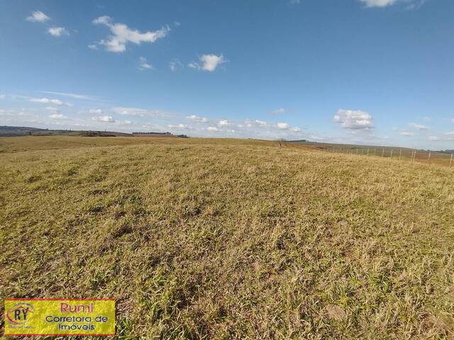 #433 - Sítio para Venda em Sarutaiá - SP - 3