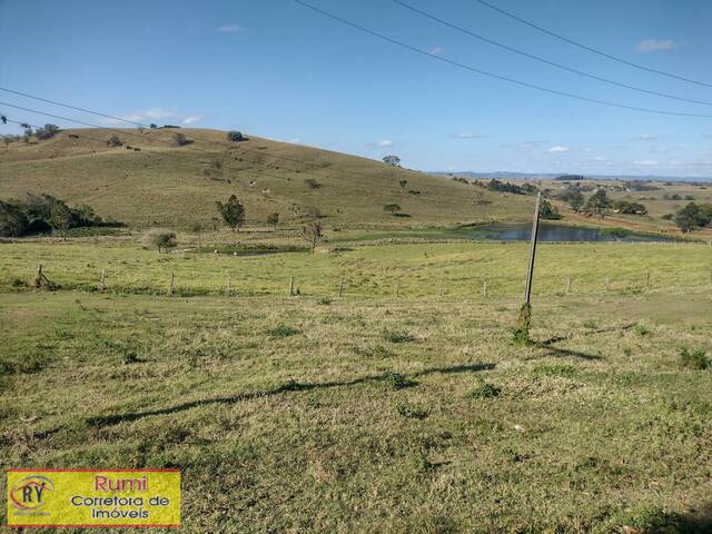 #417 - Fazenda para Venda em Ribeirão Claro - PR