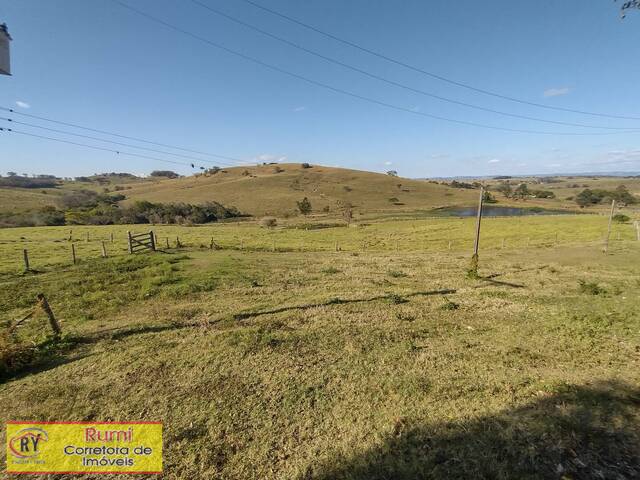 #417 - Fazenda para Venda em Ribeirão Claro - PR