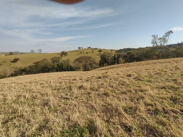 #447 - Chácara para Venda em Joaquim Távora - PR - 1