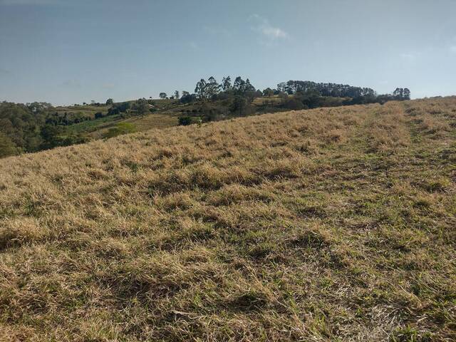 #447 - Chácara para Venda em Joaquim Távora - PR - 2