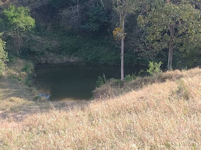 #447 - Chácara para Venda em Joaquim Távora - PR - 3