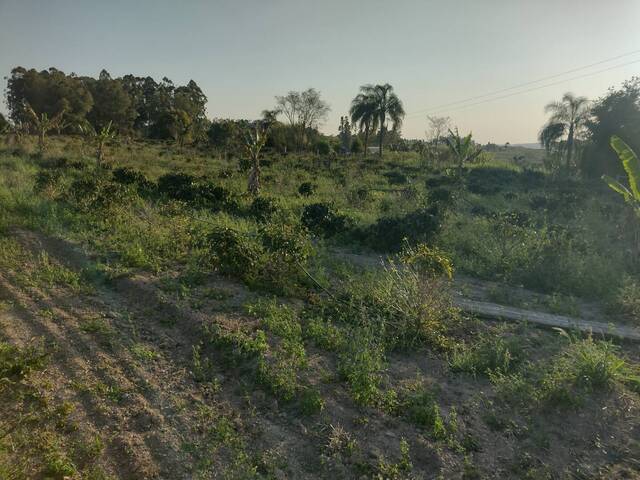 #451 - Chácara para Venda em Joaquim Távora - PR - 1