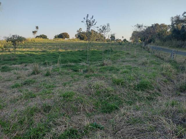 #451 - Chácara para Venda em Joaquim Távora - PR - 3