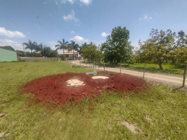 #457 - Terreno para Venda em Carlópolis - PR - 3