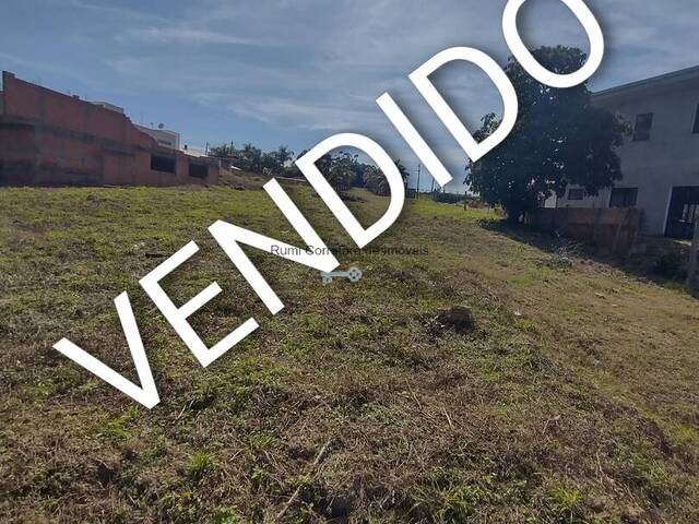#428 - Área para Venda em Carlópolis - PR - 2