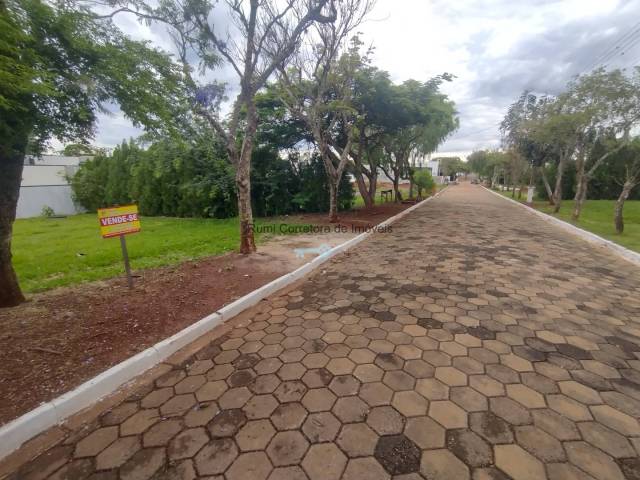 #459 - Terreno para Venda em Carlópolis - PR - 3