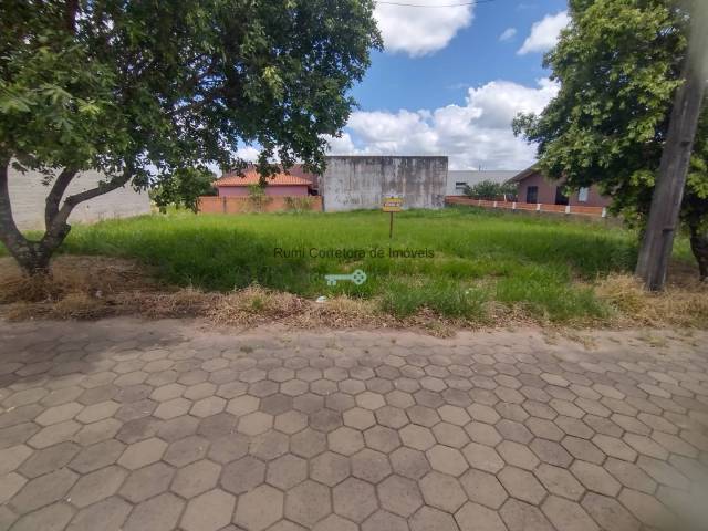 #464 - Terreno para Venda em Carlópolis - PR - 1