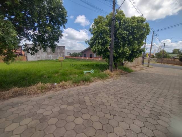 #464 - Terreno para Venda em Carlópolis - PR - 3