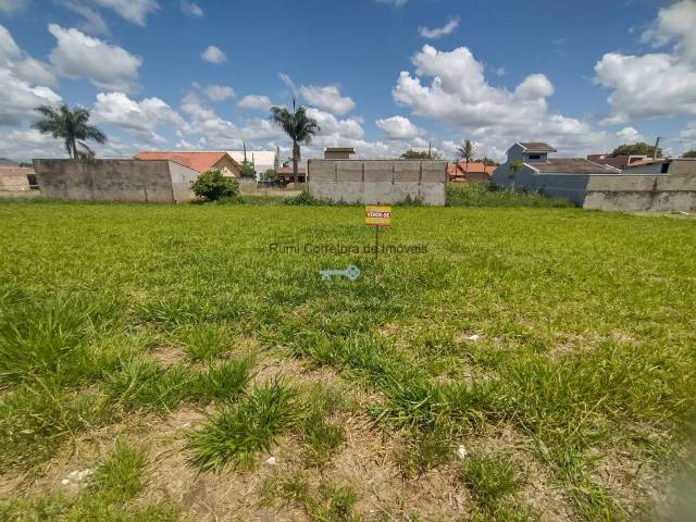 #465 - Terreno para Venda em Carlópolis - PR - 3