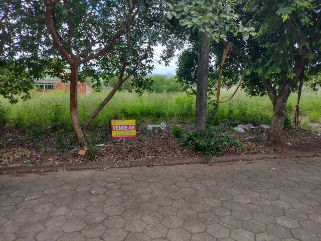 #467 - Área para Venda em Carlópolis - PR - 1