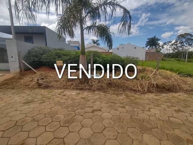 #401 - Terreno para Venda em Carlópolis - PR