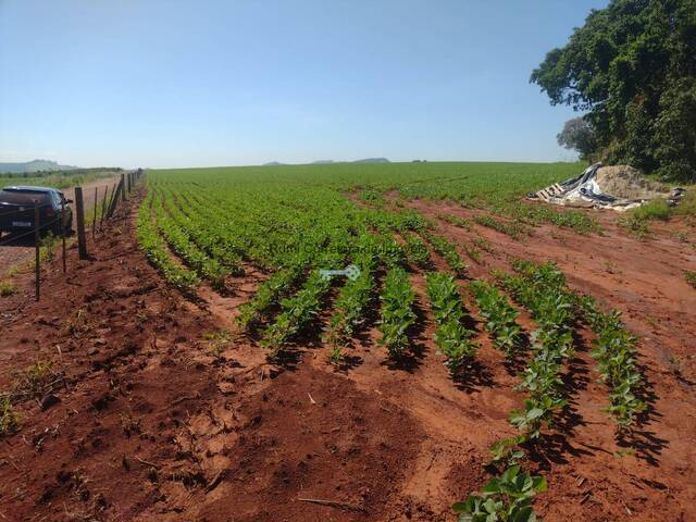 #477 - Chácara para Venda em Taguaí - SP