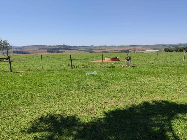 #481 - Fazenda para Venda em Taguaí - SP