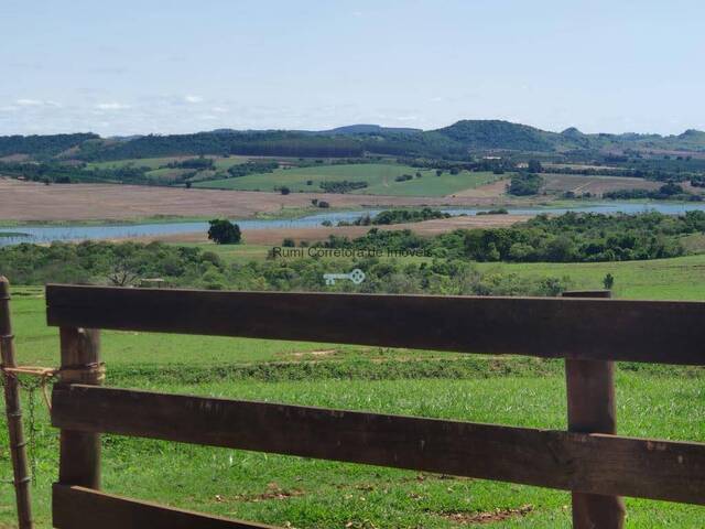 #481 - Fazenda para Venda em Taguaí - SP