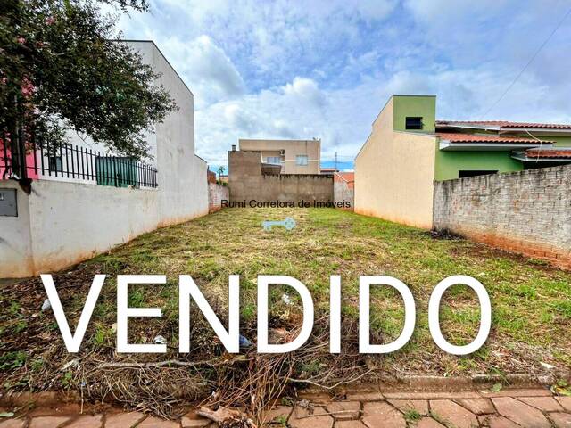 #469 - Área para Venda em Carlópolis - PR