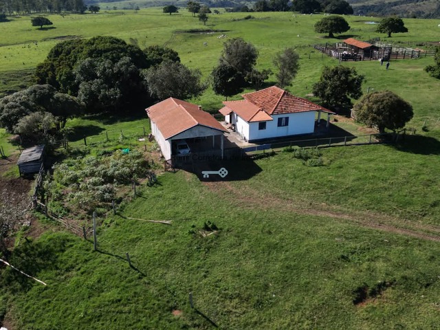 #499 - Chácara para Venda em Ribeirão Claro - PR