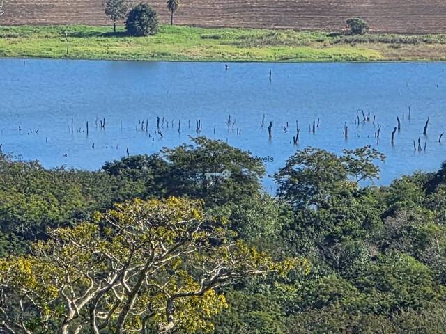 #481 - Fazenda para Venda em Taguaí - SP - 3
